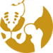 icons_huefte_g icons_huefte_g